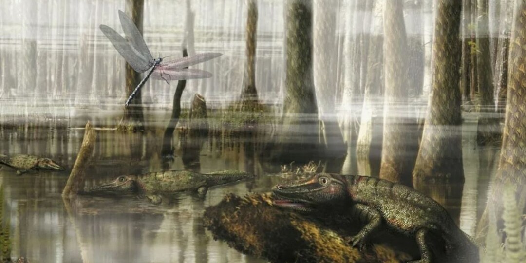 Может ли каменноугольный период наступить снова?