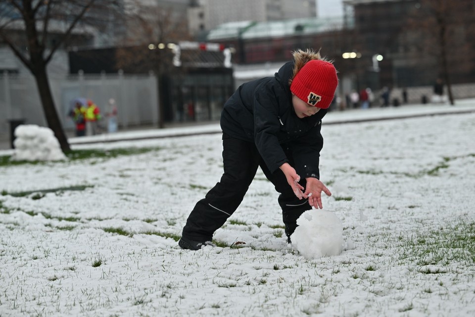    Необычайно теплая зима несет потенциальные угрозы для растений. Евгения ГУСЕВА