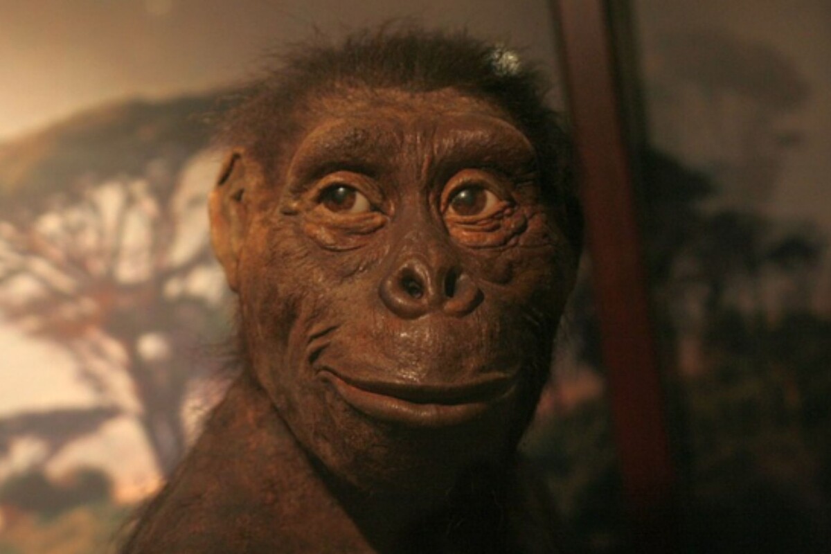 Даже преимущественно растительноядный милашка австралопитек при возможности не отказывался от мяска. Просто у него копья не было, а бегал он плохо.