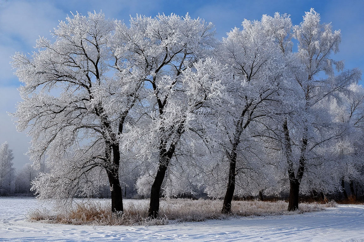    Фото: коллаж RuNews24.ru