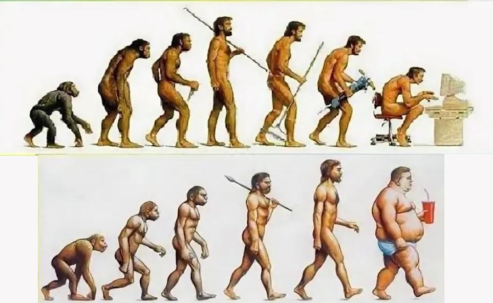 Почему мы разваливаемся раньше времени — и как вернуть тело в норму