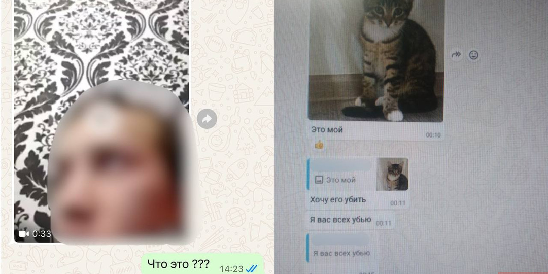 Новосибирский живодер держит в страхе соседей