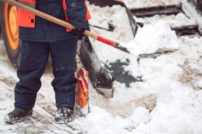     Фото: freepik.com