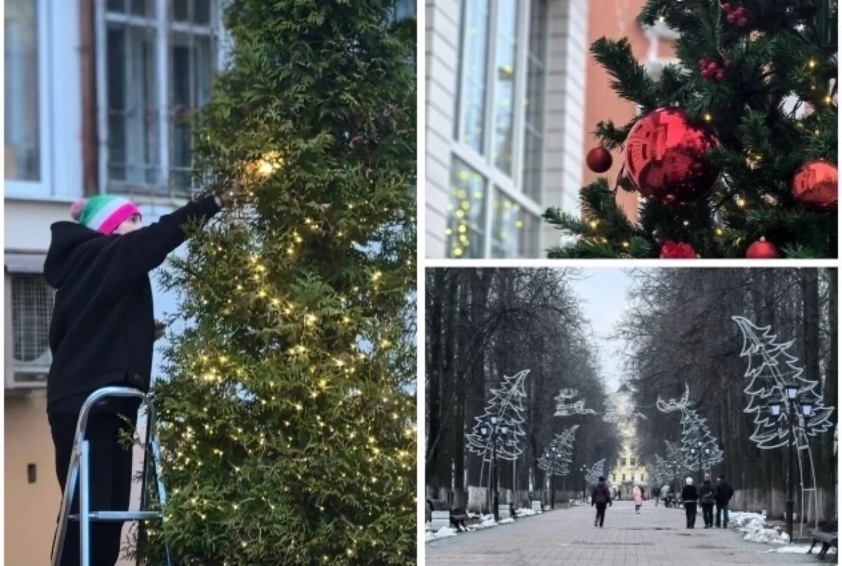    В тепле и уюте.