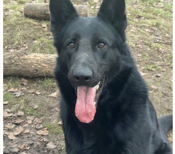 Помогаем информационно