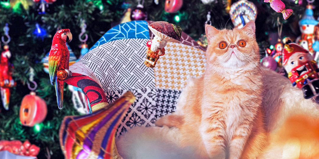 5 современных и нетривиальных новогодних фильмов, которые стоит посмотреть этой зимой