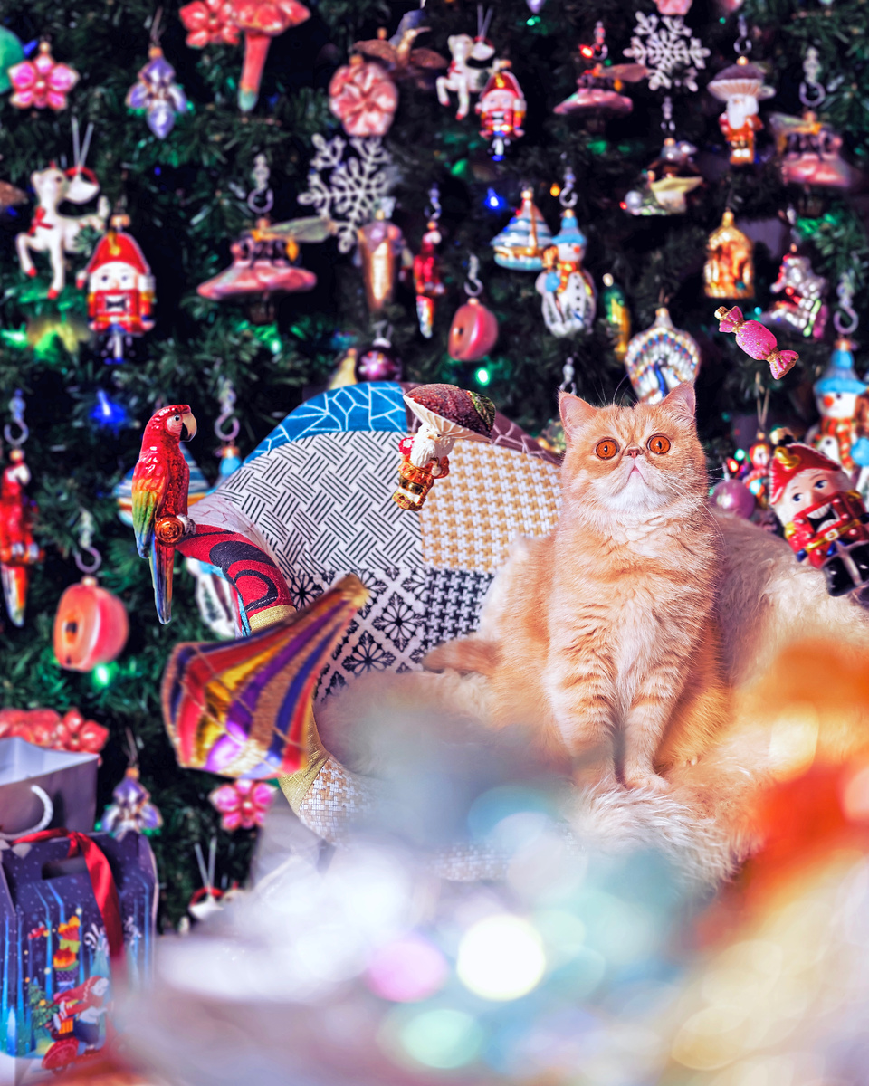 Автор и фотограф: Алексей Моисеев / Фотозаписки партизана / @partyzzzan