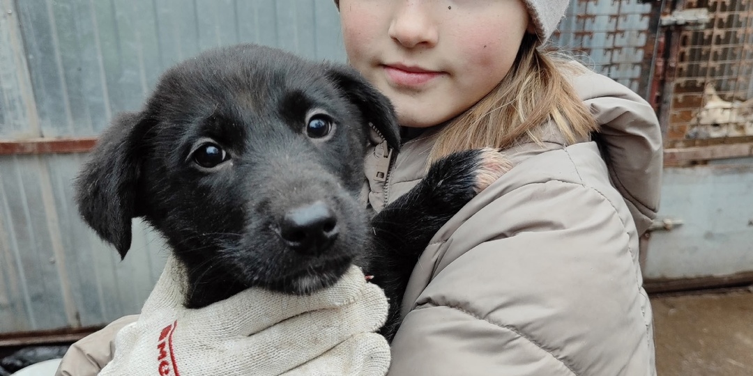 Мы - маленькая команда с большим сердцем! ❤️ Помогите нам заботиться о наших пушистых друзьях! 🐶🙌