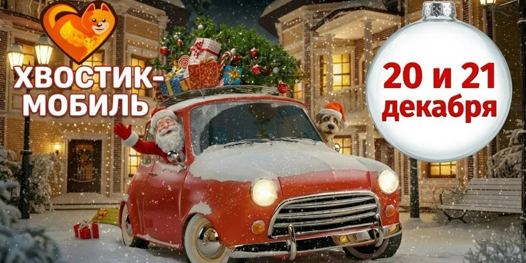 ПОДЕДОМОРОЗИМ для приюта «Омские хвостики»!