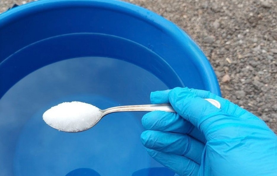 Грамотно приготовить жидкость для подкормки томатов несложно