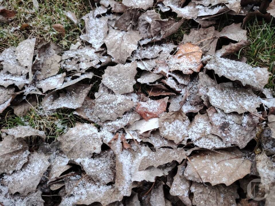    Фото: "Городские вести"