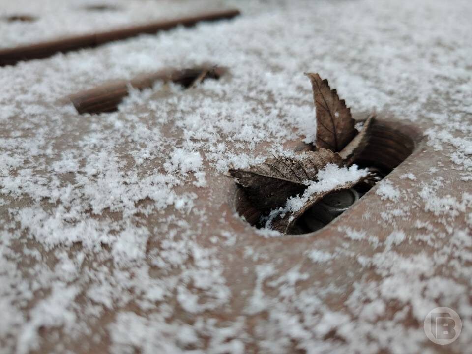    Фото: "Городские вести"