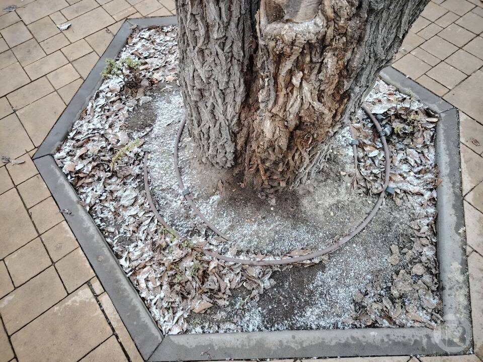    Фото: "Городские вести"