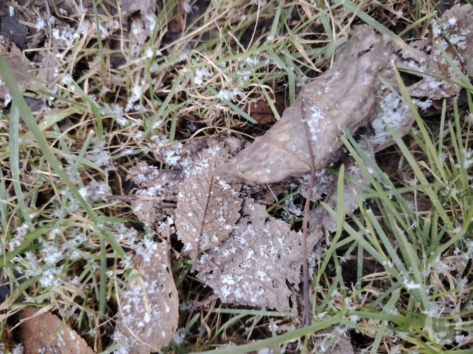    Фото: "Городские вести"