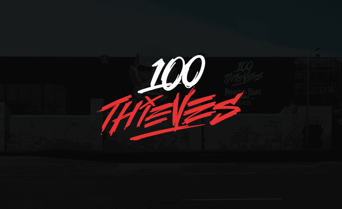 Источник: официальный сайт 100 Thieves