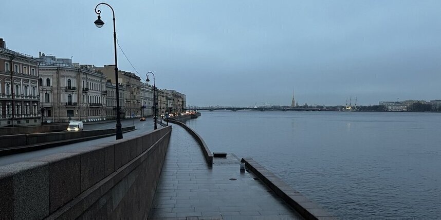    Анна Сирота