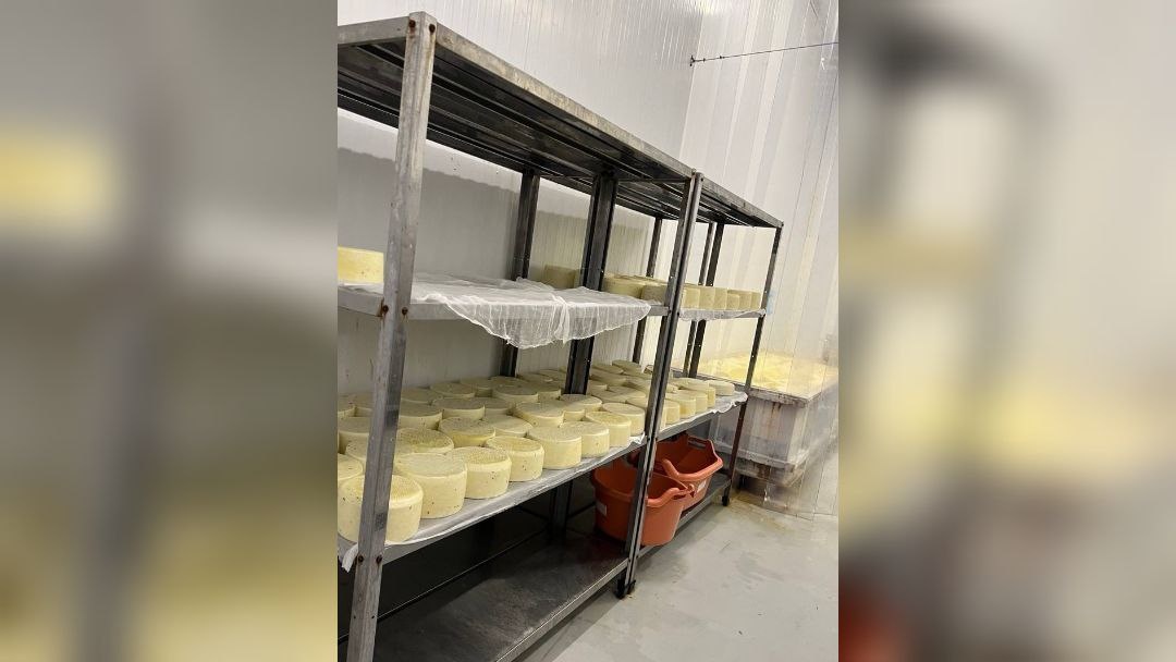 © Прокуратура Петербурга в Telegram