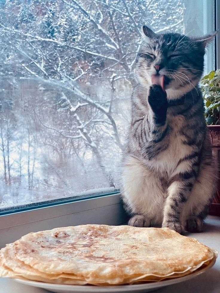 иллюстрация из яндекс картинки.