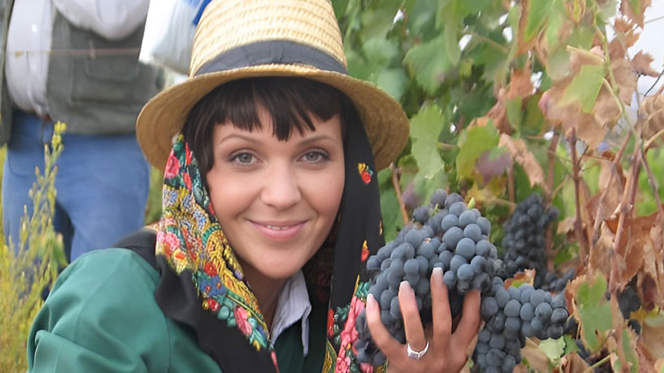 Анастасия Чернобровина