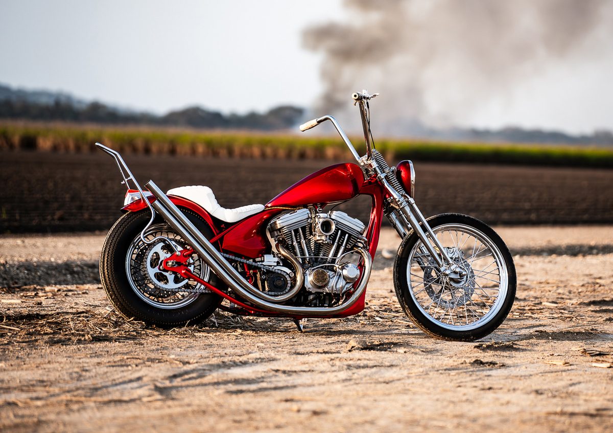 SHOW STOPPER: кастомный Harley-Davidson XL1200 Sportster