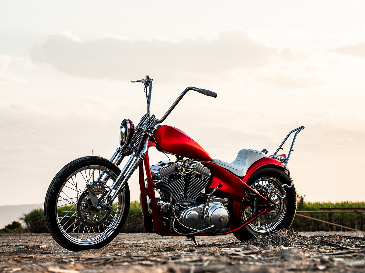 SHOW STOPPER: кастомный Harley-Davidson XL1200 Sportster