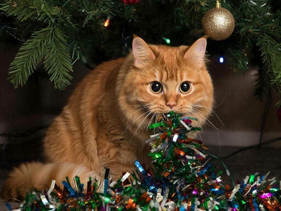    Фото: REGIONS/Сгенерировано нейросетью