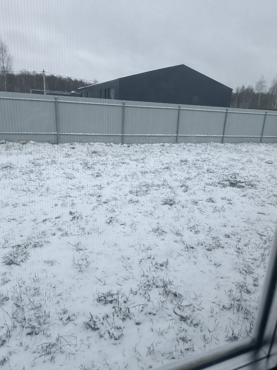 Сегодня лёг первый настоящий снег 