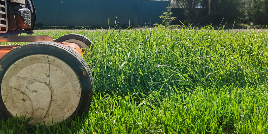 Уход за газоном.