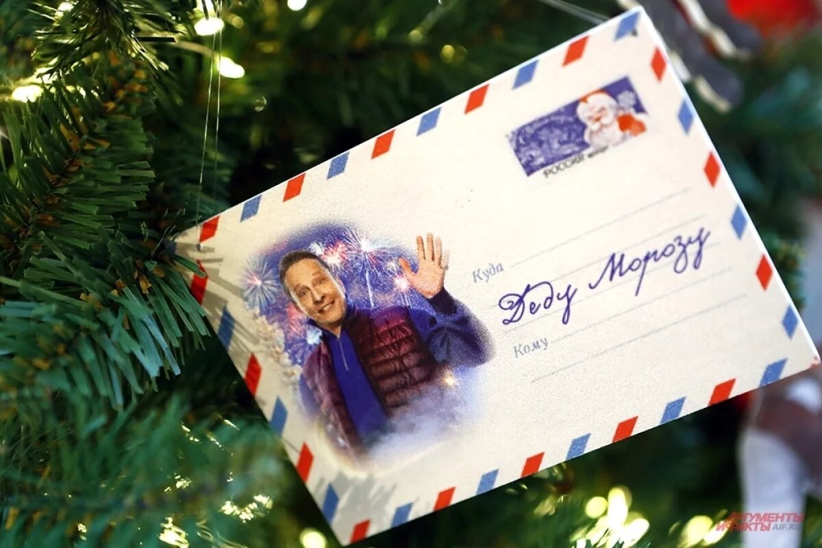    В Новосибирской области заготовят более пяти тысяч новогодних елок