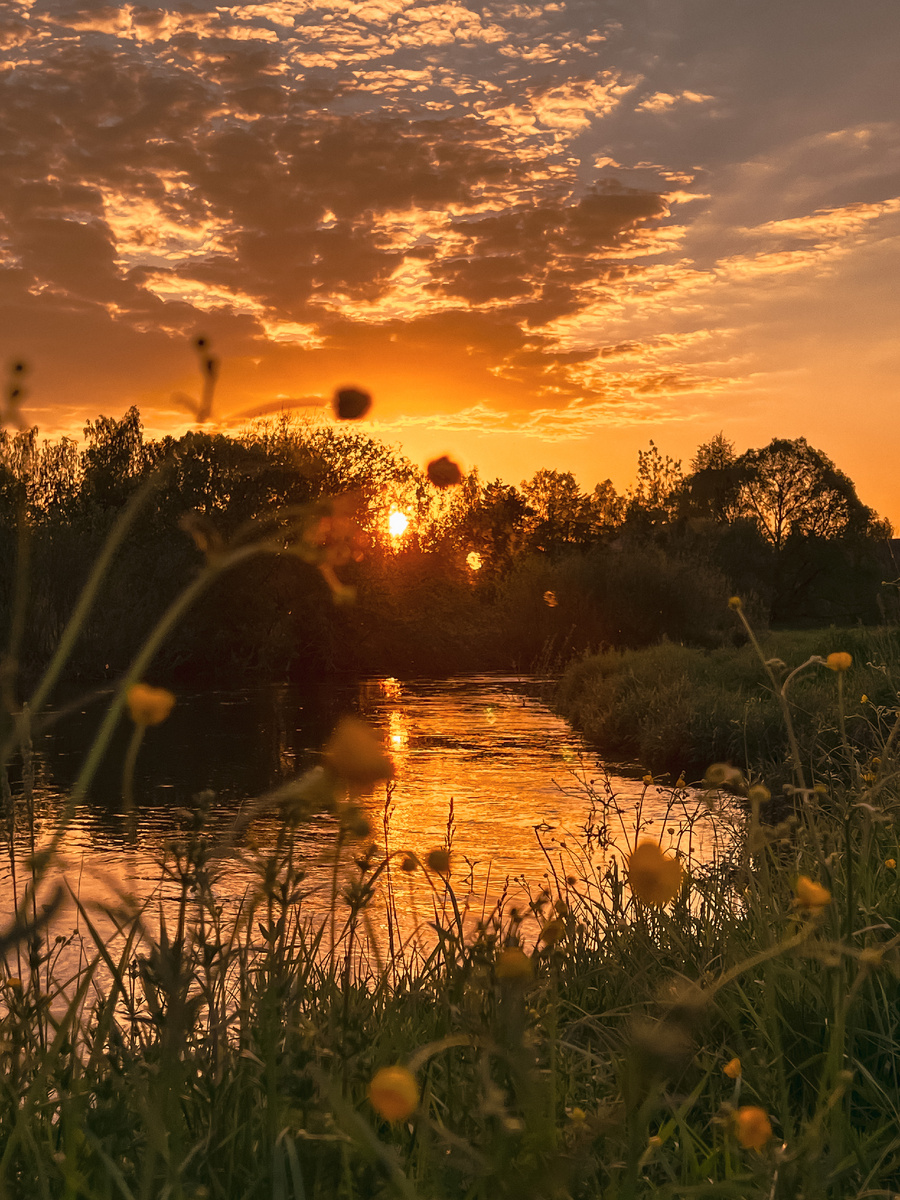Оранжевый вечер 