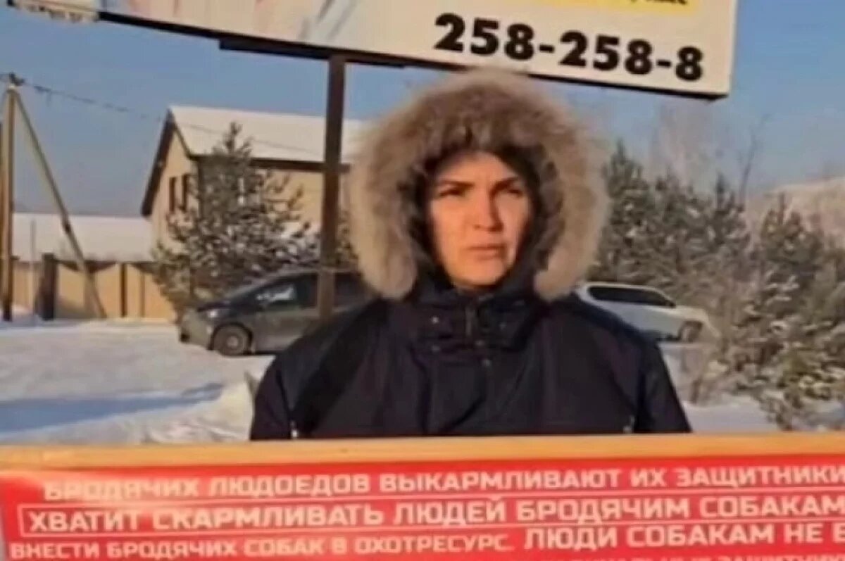    Красноярка потребовала безвозвратного отлова бродячих собак в СНТ «Теремок»