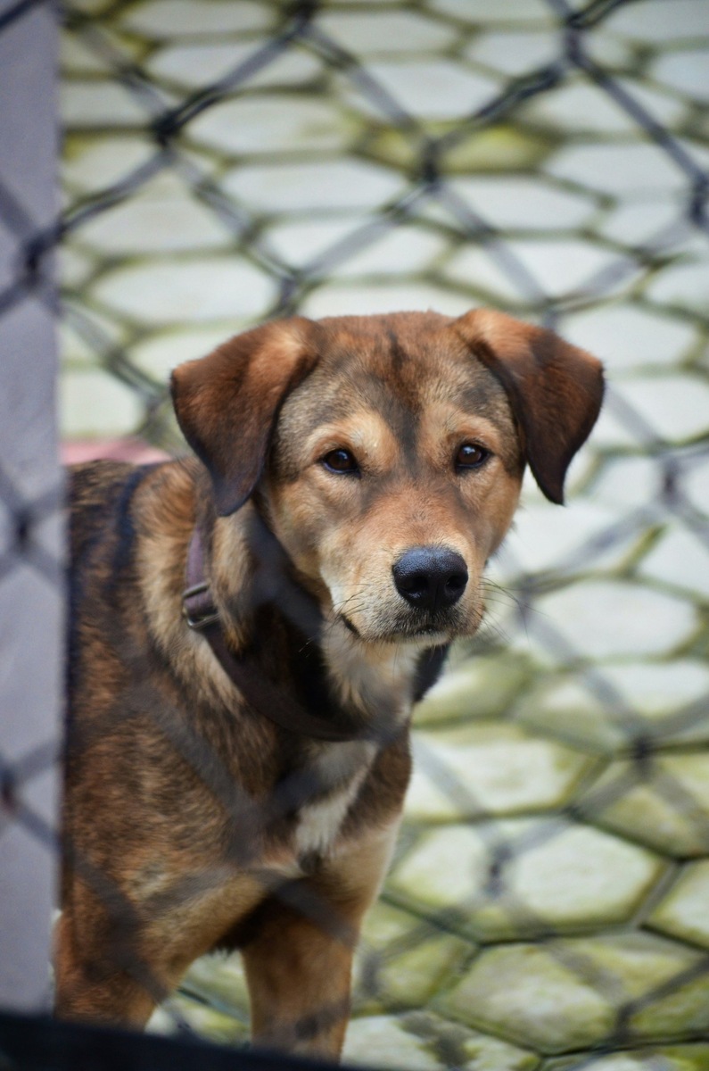    Пространство, где страх остался в прошлом, а настоящее наполнено заботой. Фото подобрано по теме статьи и не является истинным