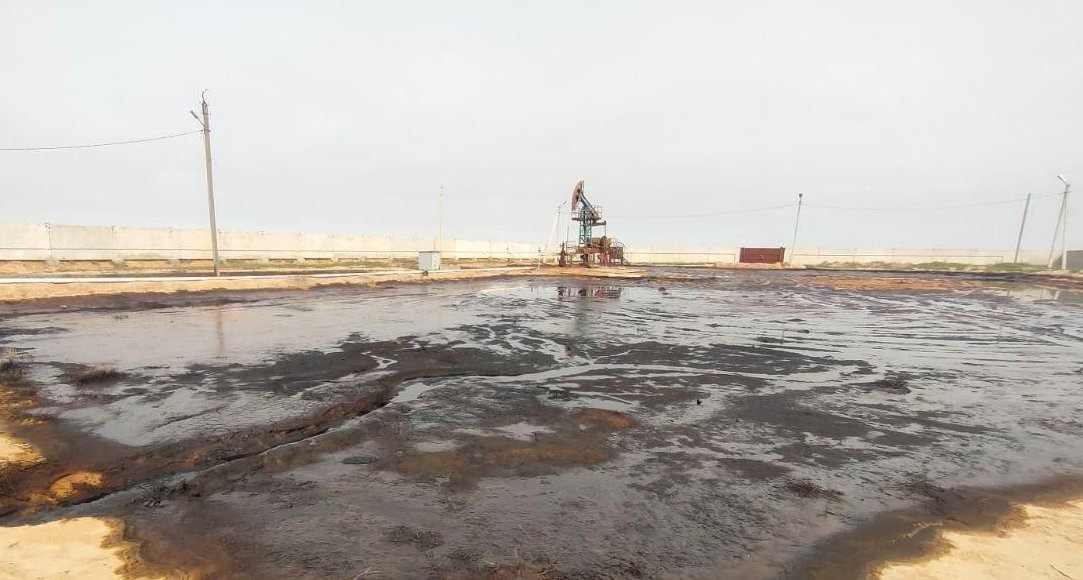    Фото: пресс-служба Росприроднадзора