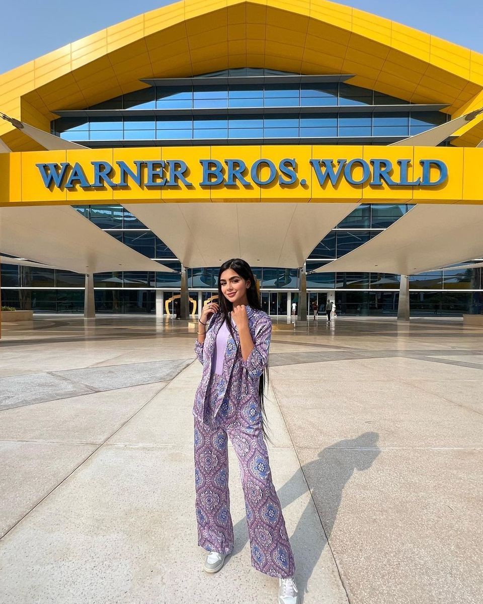 1. Кратко: кому подойдёт Warner Bros. World Abu Dhabi 