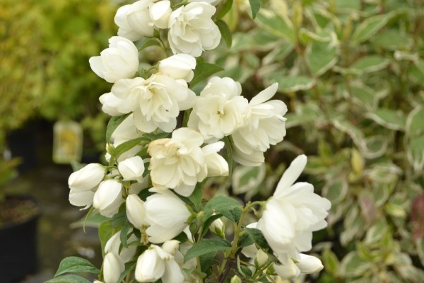 Источник фото shutterstock.com