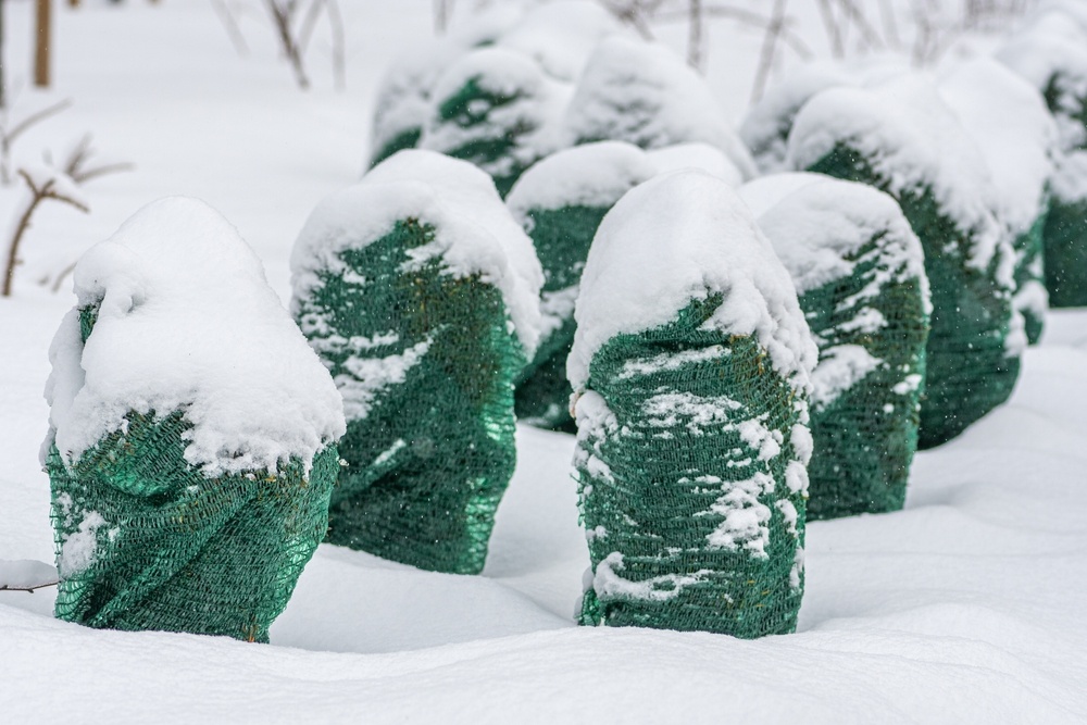 Источник фото shutterstock.com