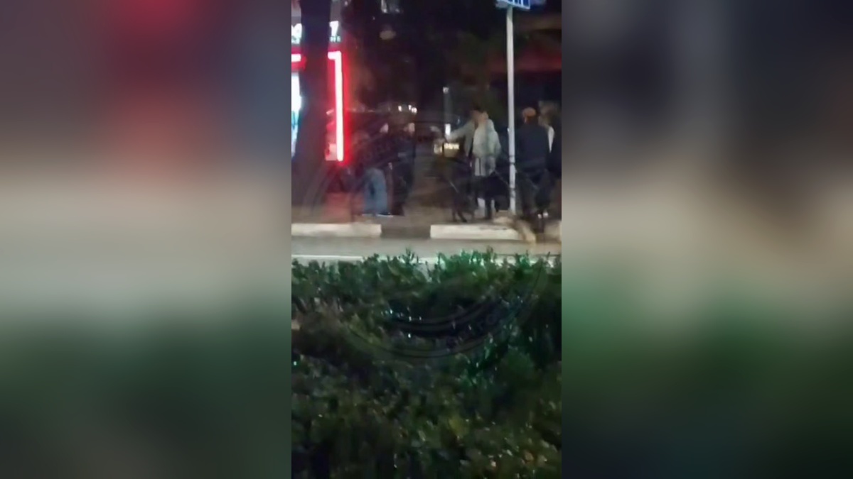    Фото t.me/sochitypical