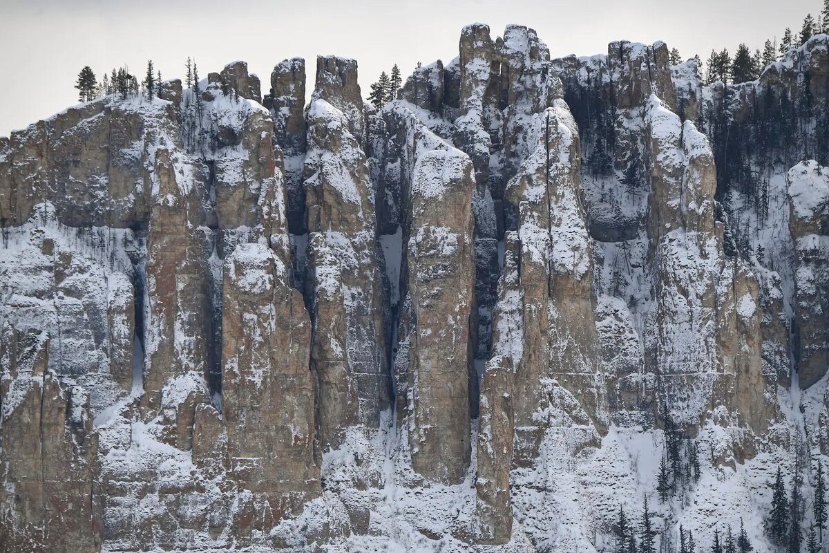     Национальный природный парк "Ленские столбы" в Якутии. © РИА Новости. Светлана Шевченко