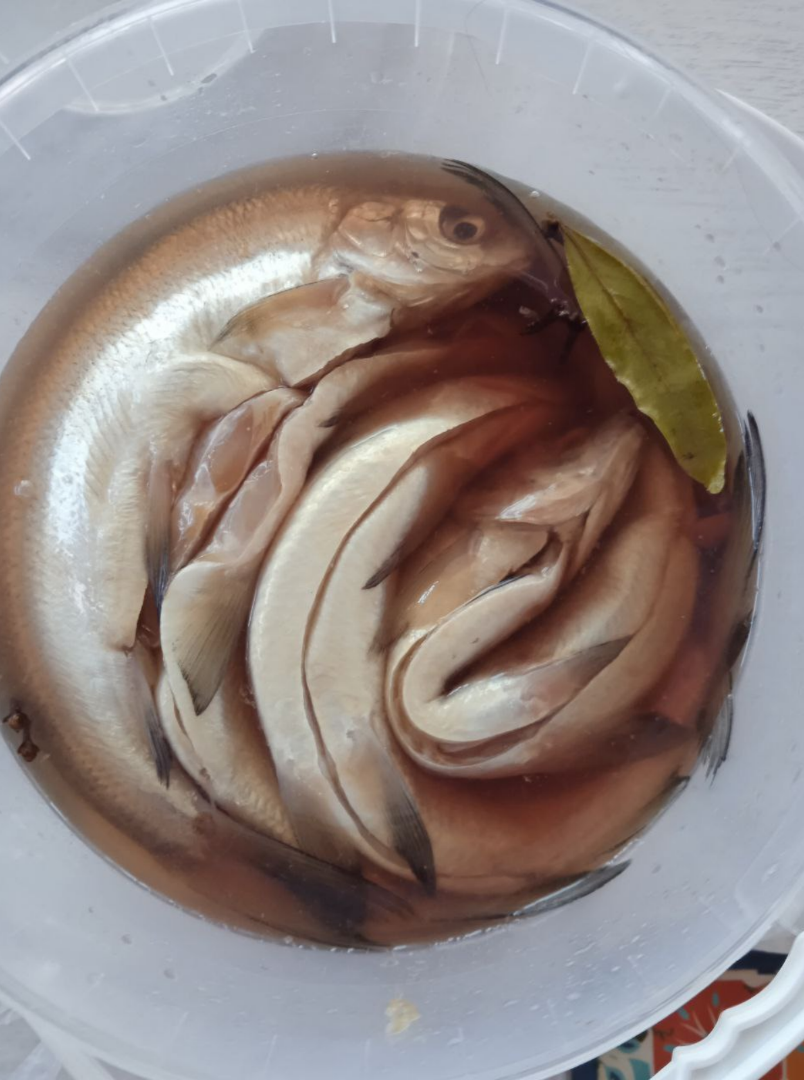 А сиг под шубой, я вам скажу, это нечто. Сига надобно солить как форель (недаром же он ей дальний  родственник): на 2 ложки соли 1 ложку сахара, перемешать и сухим посолом. Можно сразу на филе разделать, но это морока – лучше целые тушки засыпать (про жабры не забыть!), не слишком ятжелым гнётом придавить и в холод на 2-3 дня. А уже потом чистить, резать – и есть. Это нереально вкусно, селедка даже рядом не лежала.