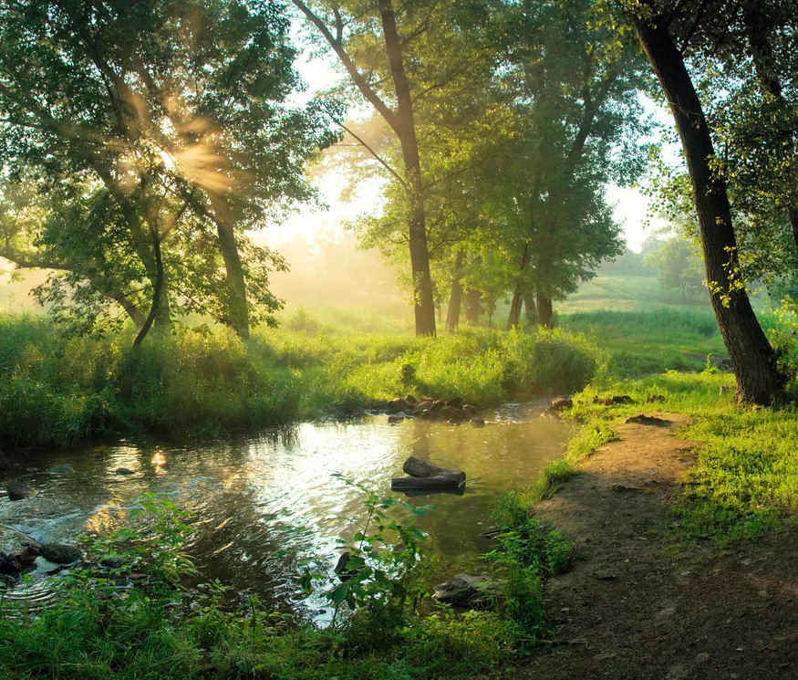 Он пил прямо из ладоней, зажмуриваясь от удовольствия, когда солнечные зайчики танцевали на его лице, отражаясь в каплях на его губах.