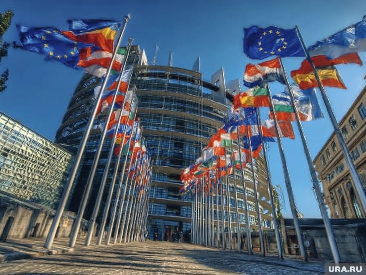     Для возможности реализовать план ЕС, необходимо спешное принятие закона, предусматривающего чрезвычайные полномочия