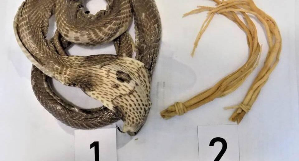    пресс-служба Алтайской таможни