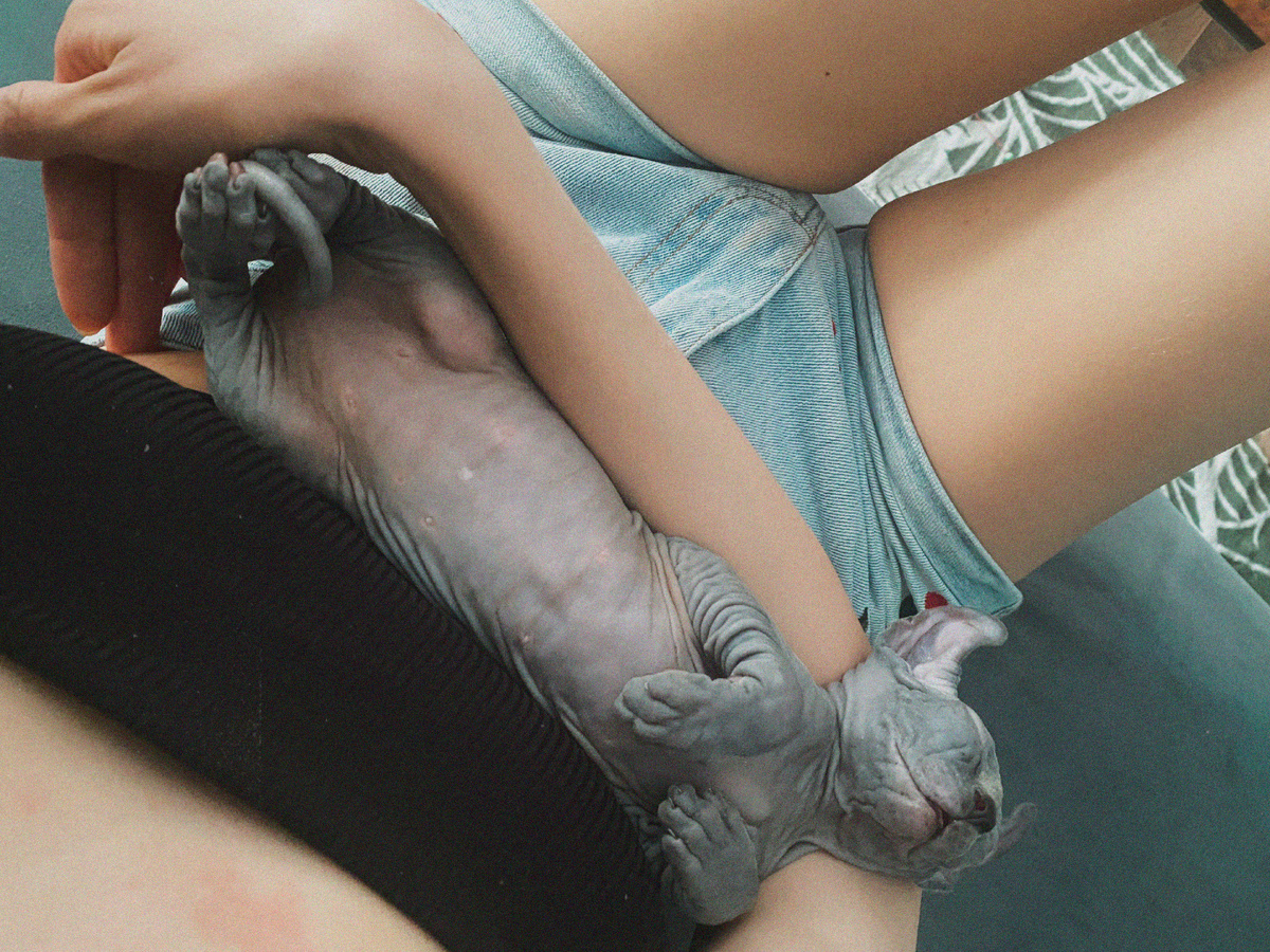 Первые пару часов дома Эль спала на руках и на диване - видимо, от переизбытка эмоций