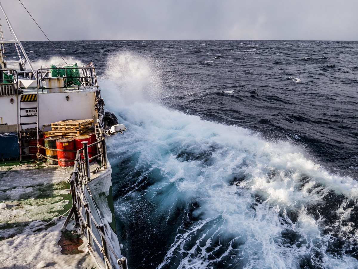 Фото предоставлено АРПП