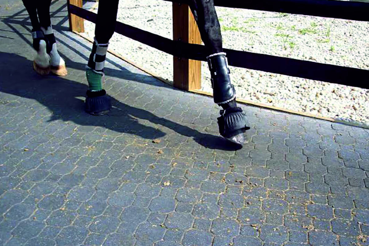 Покрытие из резиновой крошки для манежей