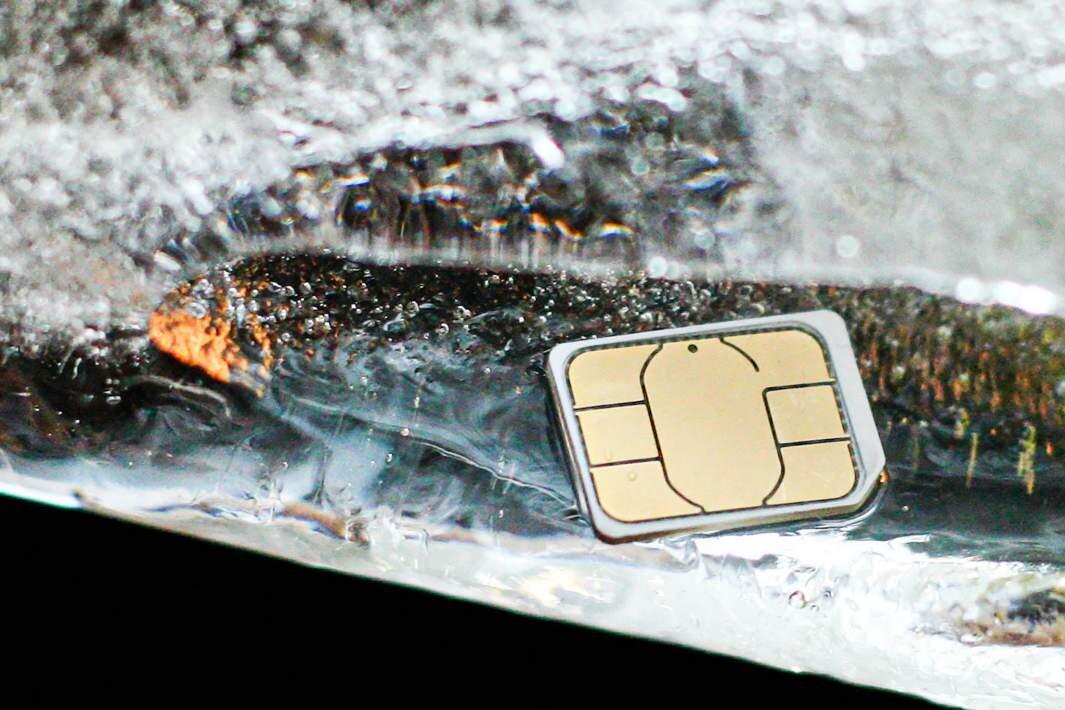 Фото: ИЗВЕСТИЯ/Юлия Майорова