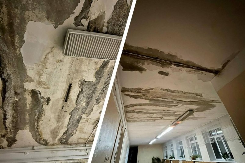     Потолок в школе №58. Фото: тг-канал (18+) "Инцидент Омск"