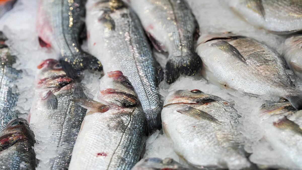    Фото: ИЗВЕСТИЯ/Дмитрий Коротаев