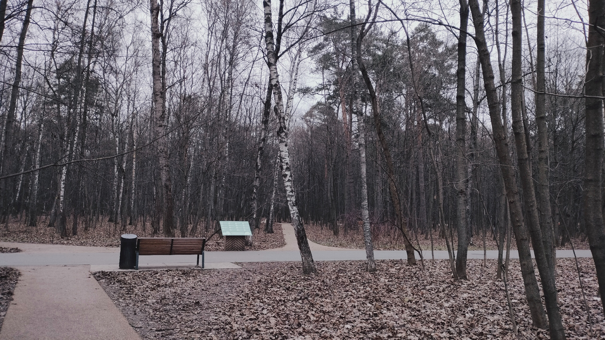 Развилка, налево - путь к южному вестибюлю станции метро «Щукинская», прямо - в центр парка, направо - к другим входам со стороны улицы Маршала Василевского и Академика Курчатова