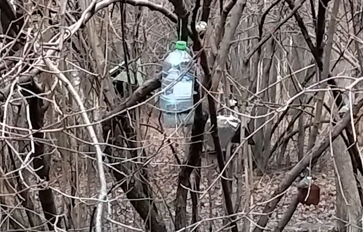 Кормушка для птиц, которая забавно крутилаь под синицами